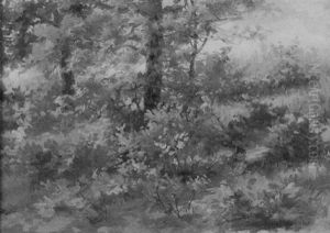 Untitled (autumn Landscape) by Marie Osthaus