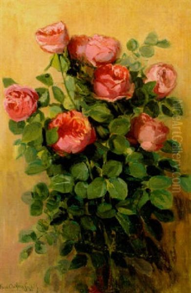 Roses - view 1