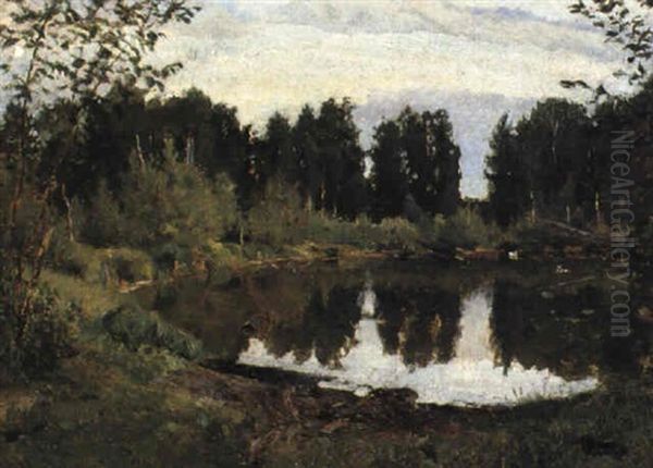 Woodland Pond - view 1