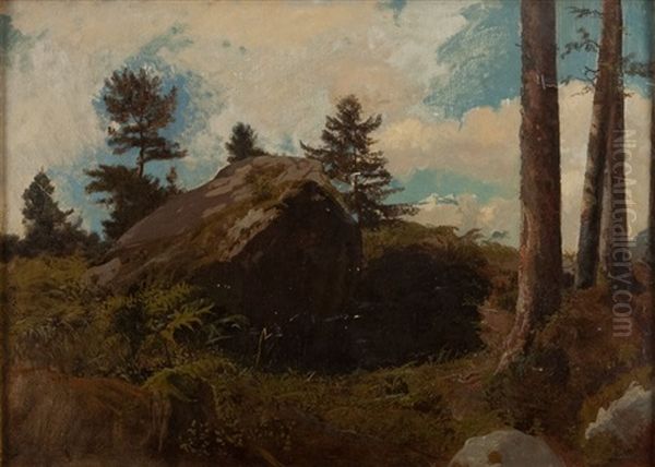 Edge Of The Forest - view 1