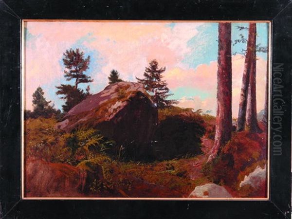 Brzeg Lasu - view 1