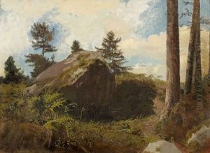 Landschaft Mit Findling