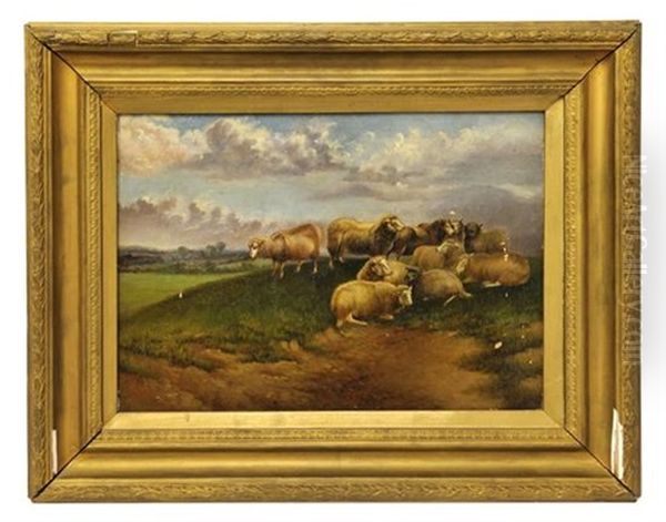 Untitled (grazing Sheep In The Field) - view 1
