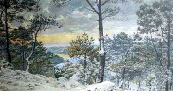 Le Bois De St-pierre A Longuivy - view 1