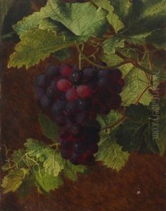 A Cluster Of Grapes A Cluster Of Grapes