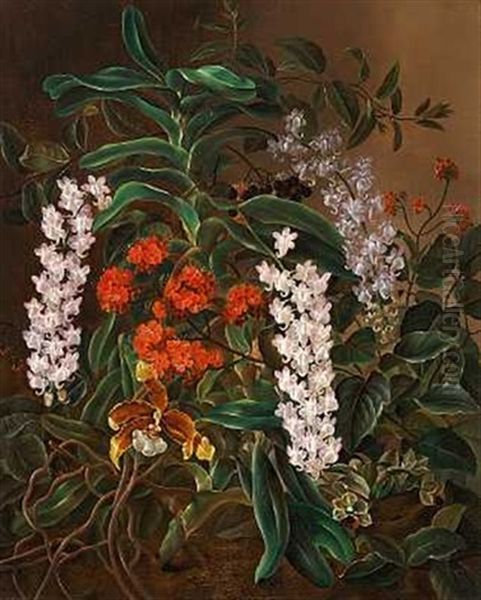 Opstilling Med Orkideer Og Brogede Blomster - view 1