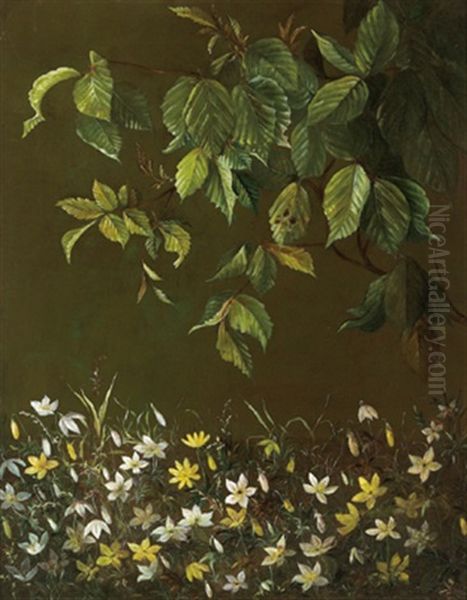 Buschwindroschen Und Buchenlaub (study) - view 1