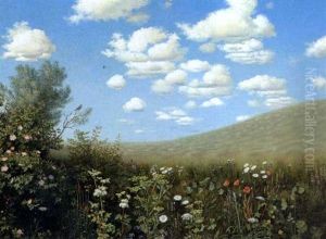 Drivende Skyer Over Sommerlandskab, I Forgrunden Blomstrende Groftekant Drivende Skyer Over Sommerlandskab, I Forgrunden Blomstrende Groftekant
