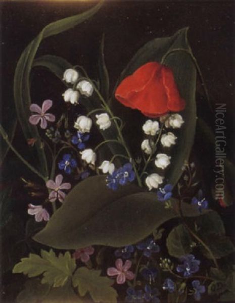 Wiesenblumen - Maiglockchen, Mohn, Storchenschnabel Und Ehrenpreis - view 1