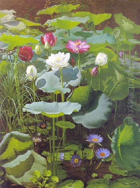 Lily Pond - view 1