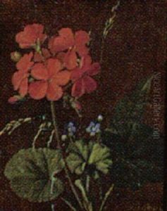 Pelargonie Og Forglemmigej Pelargonie Og Forglemmigej