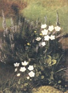 Skogsblomster Skogsblomster