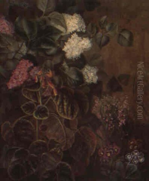 Blomster I En Skovbund - view 1