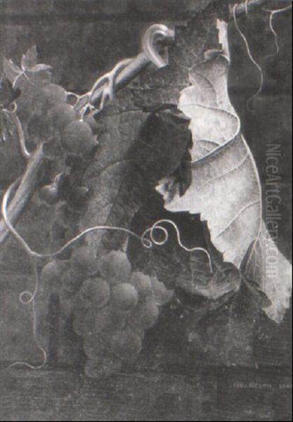 Grapes On A Vine - view 1