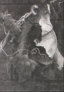 Grapes On A Vine Grapes On A Vine