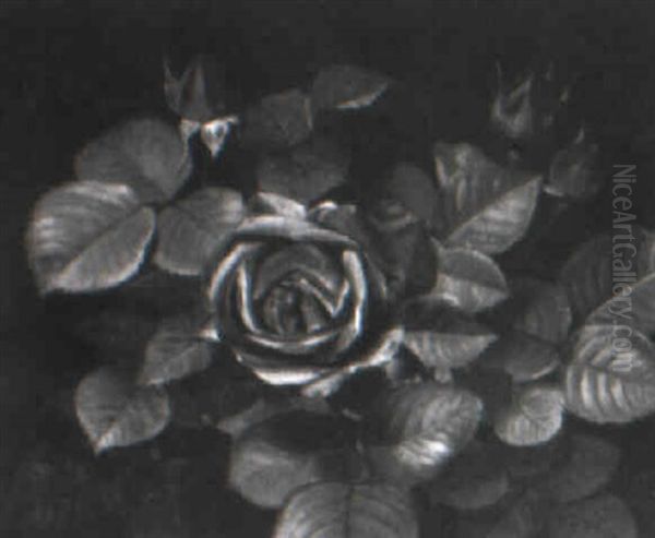 R+de Roser - view 1