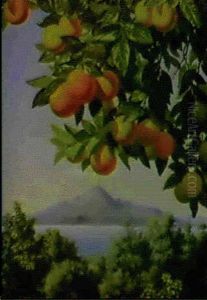 Orange Trees With Vesuvius In The Background