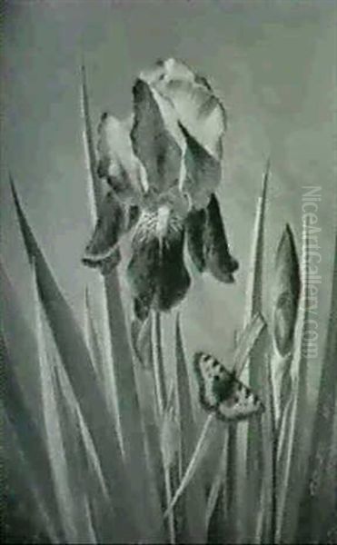 Bla Iris Og Sommerfugle - view 1