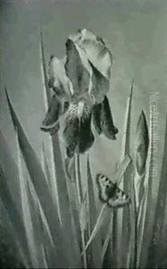 Bla Iris Og Sommerfugle by Otto Didrik Ottesen