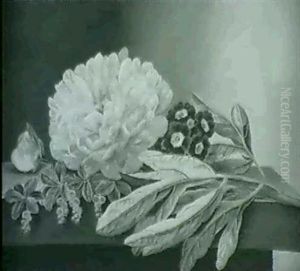 Fruhlingsblumen Fruhlingsblumen