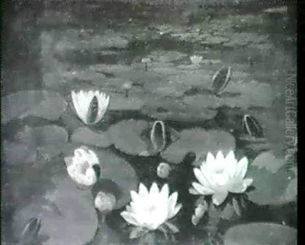Akander - view 1