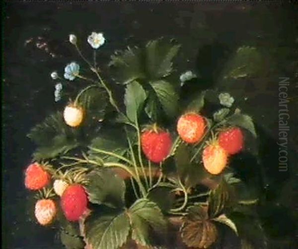 Wild Strawberries In A Pot. - view 1
