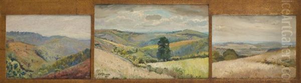 Vues Des Ardennes (various Sizes, Triptych) - view 1