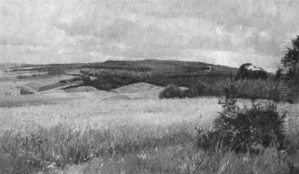Sommerlandschaft - view 1