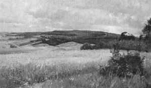 Sommerlandschaft by Ernst Otto