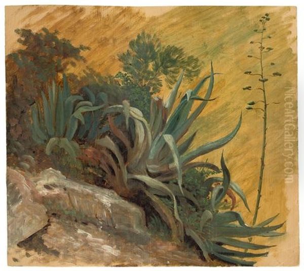 Agaves In Tivoli - view 1