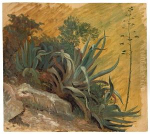 Agaves In Tivoli