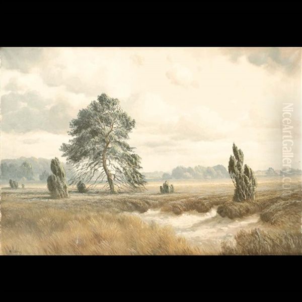 Paesaggio - view 1