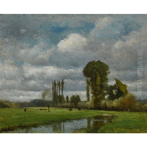 Weidende Kuhe Am Waldrand - view 1