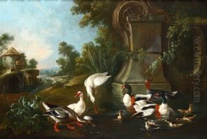 Paesaggio Con Uccelli Lacustri