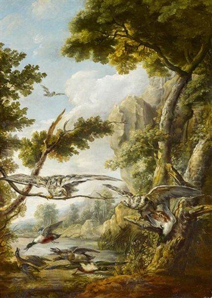 Greifvogel Mit Enten - view 1