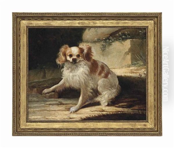 A Brown And White Spaniel In A Landscape - view 1