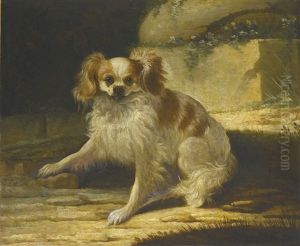 A Portrait Of A Brown And White Toy Spaniel In A Landscape by Jacques Charles Oudry