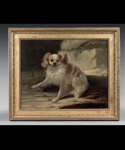 Un Epagneul King Charles