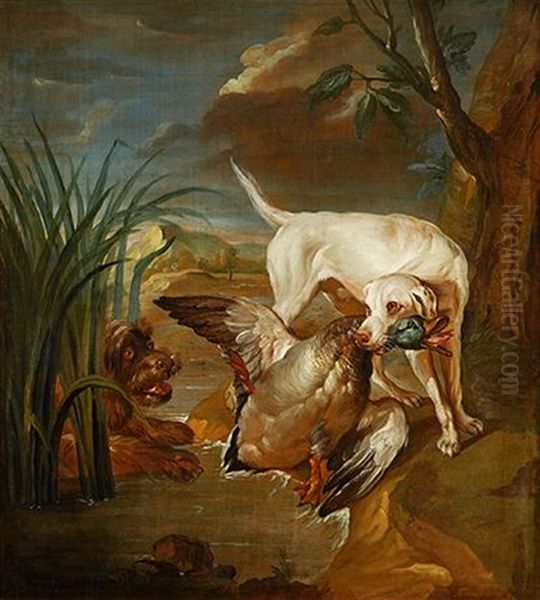 Chiens Attaquant Un Colvert - view 1