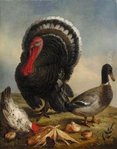 Tierstuck Mit Federvieh by Jacques Charles Oudry