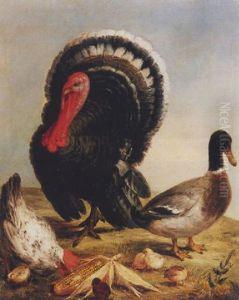 Komposition Mit Truthahn, Hahn, Erpel Und Kuken by Jacques Charles Oudry