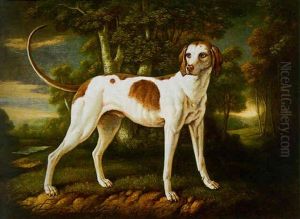 A Hound In A Landscape