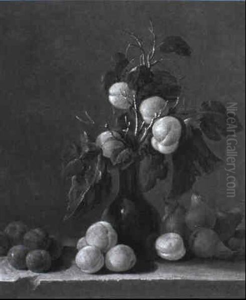 Sprigs Of Apricot In A Glass Vase With Fruit On A Stone Ledge - view 1