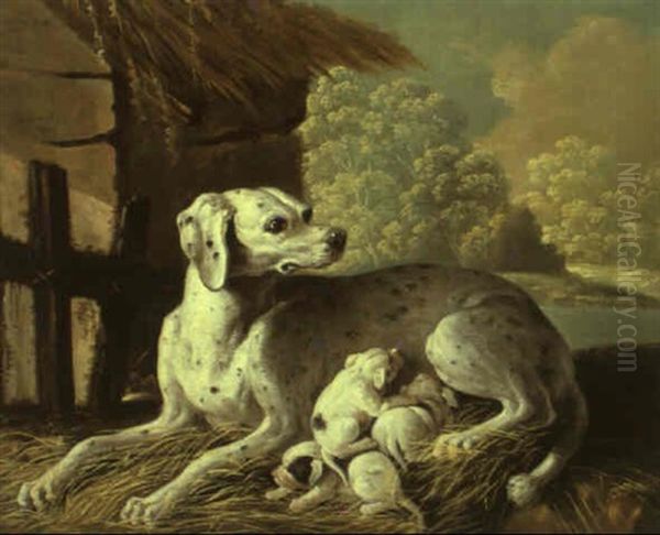 Chienne Allaitant Ses Petits - view 1