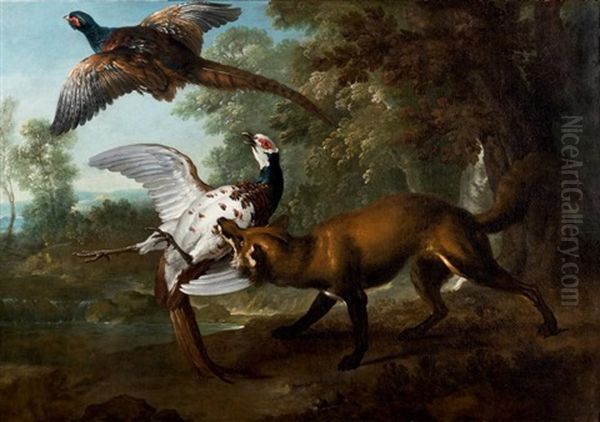 Renard Poursuivant Des Faisans - view 1