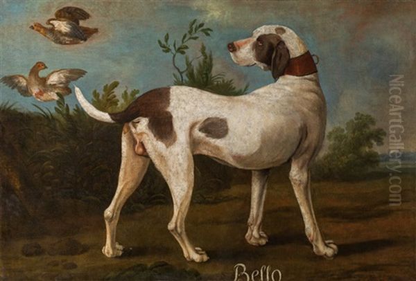 Der Pointer "bello" In Landschaft - view 1