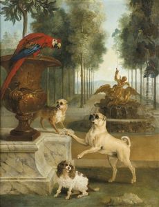 Three Dogs And A Macaw In A Park Three Dogs And A Macaw In A Park