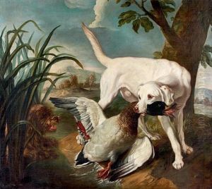 Chiens Et Canard by Jean-Baptiste Oudry