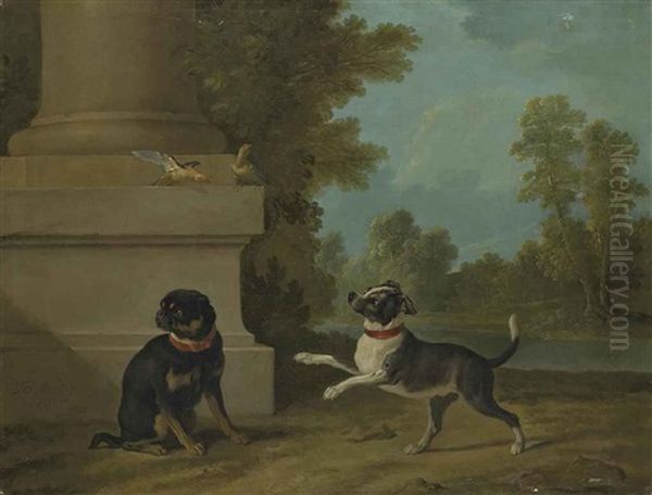 Dogs Playing With Birds In A Park - view 1