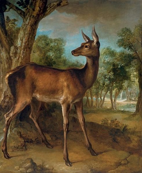 The Watchful Doe (biche Aux Augets) - view 1